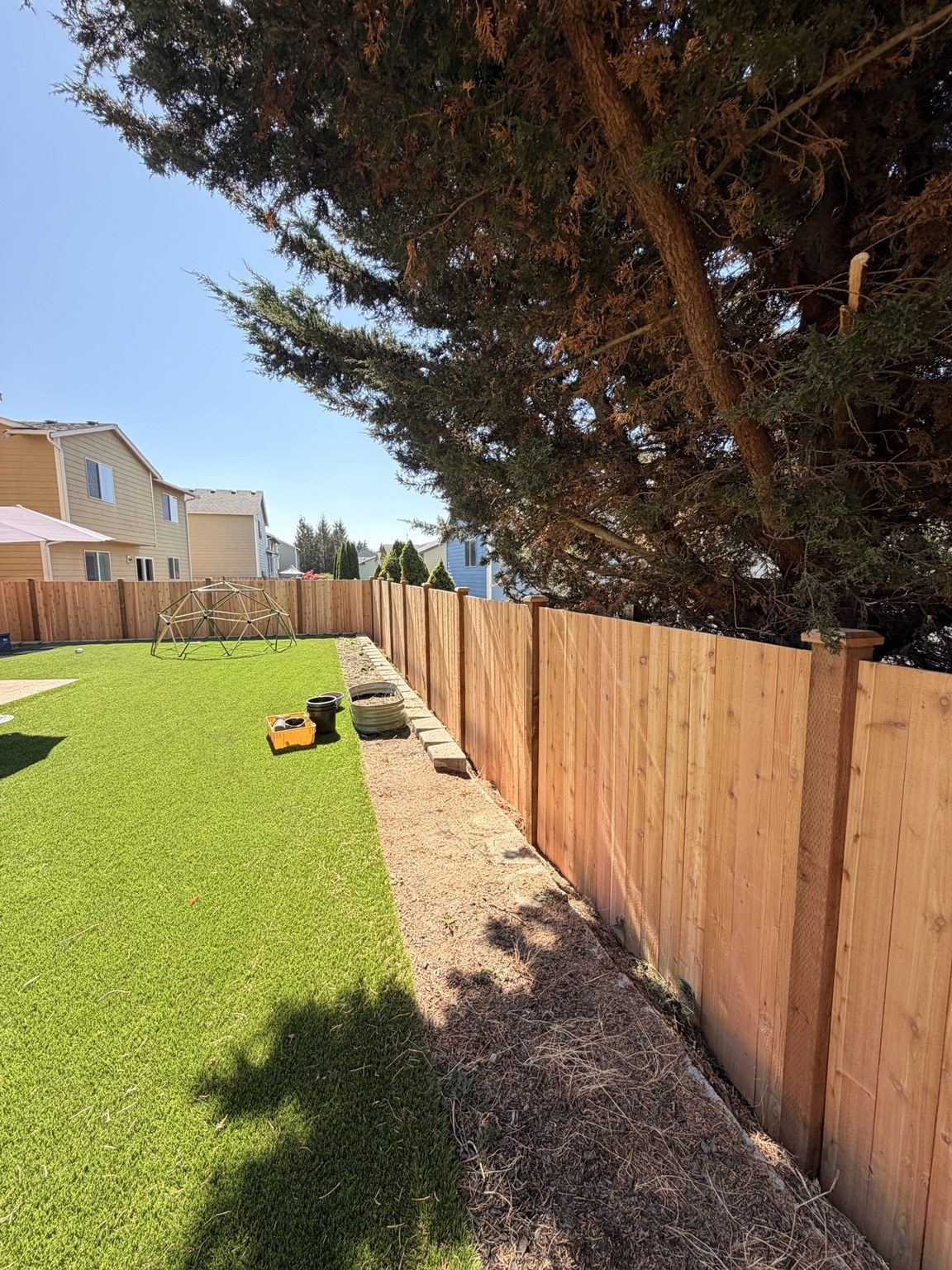 Backyard cedar privacy fence