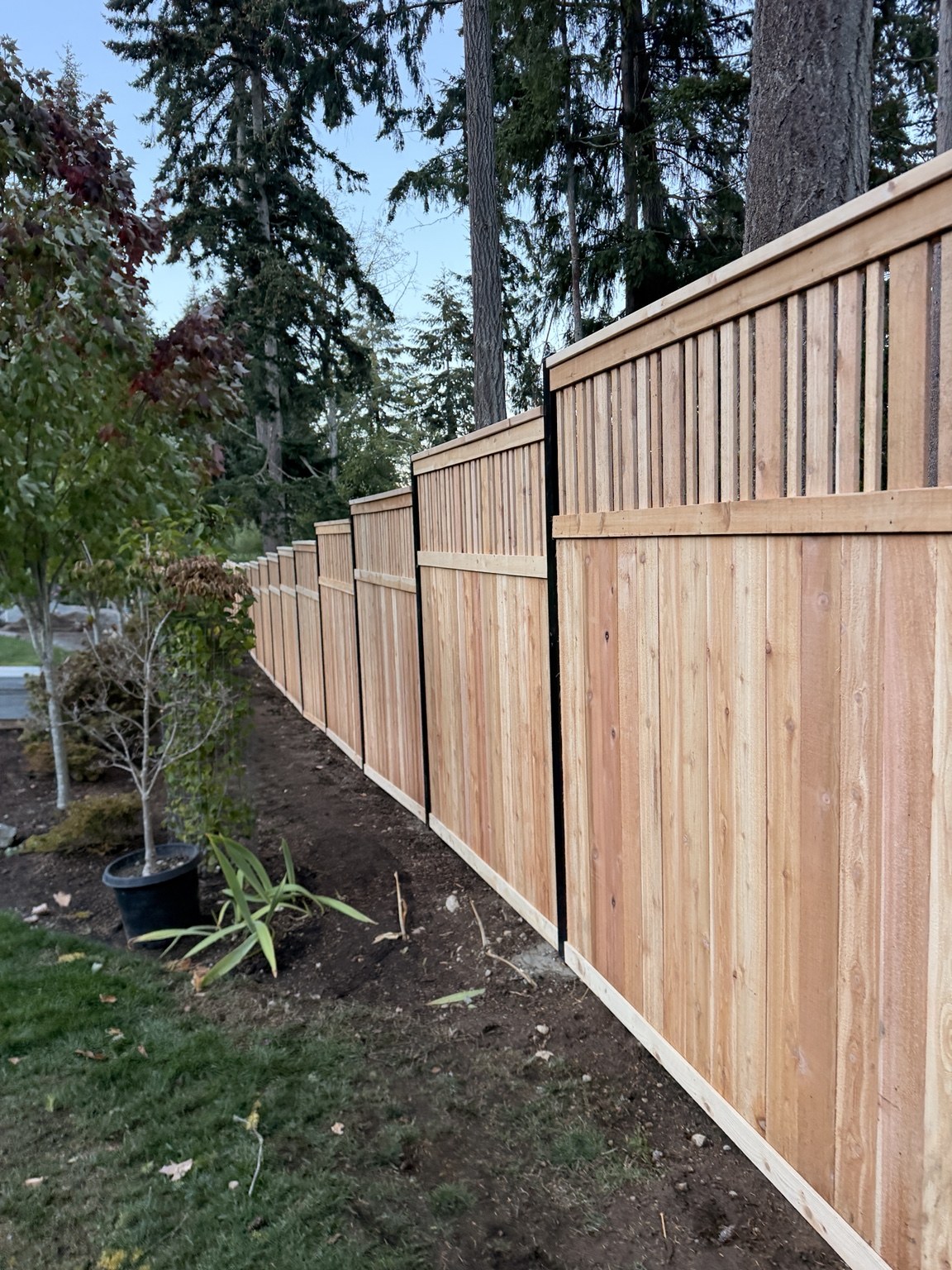 Cedar fence with decorative upper panels