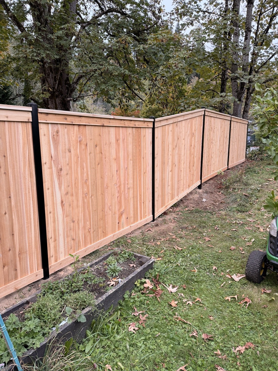 Cedar privacy fence with black metal posts