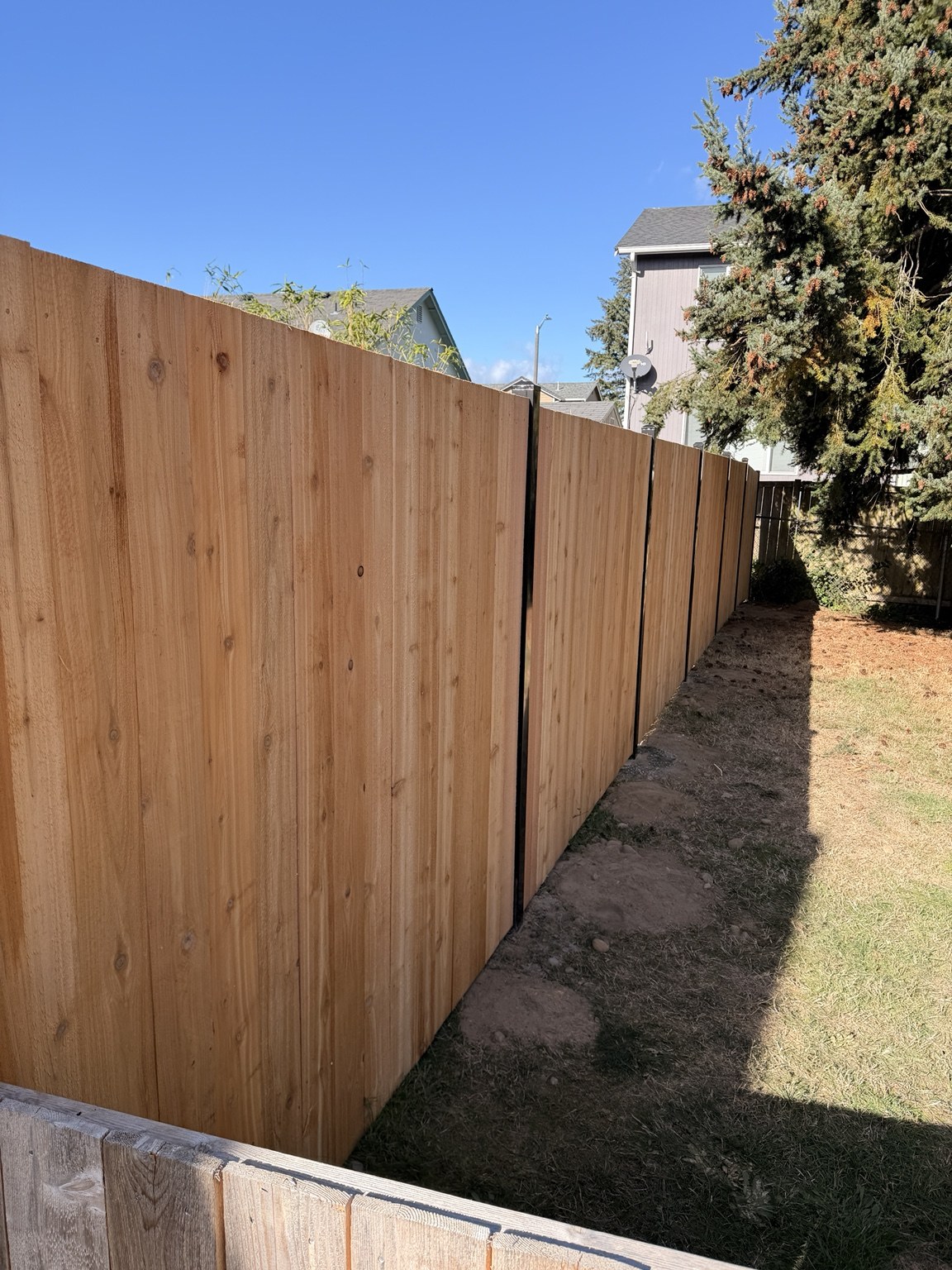 Cedar fence along a residential side yard