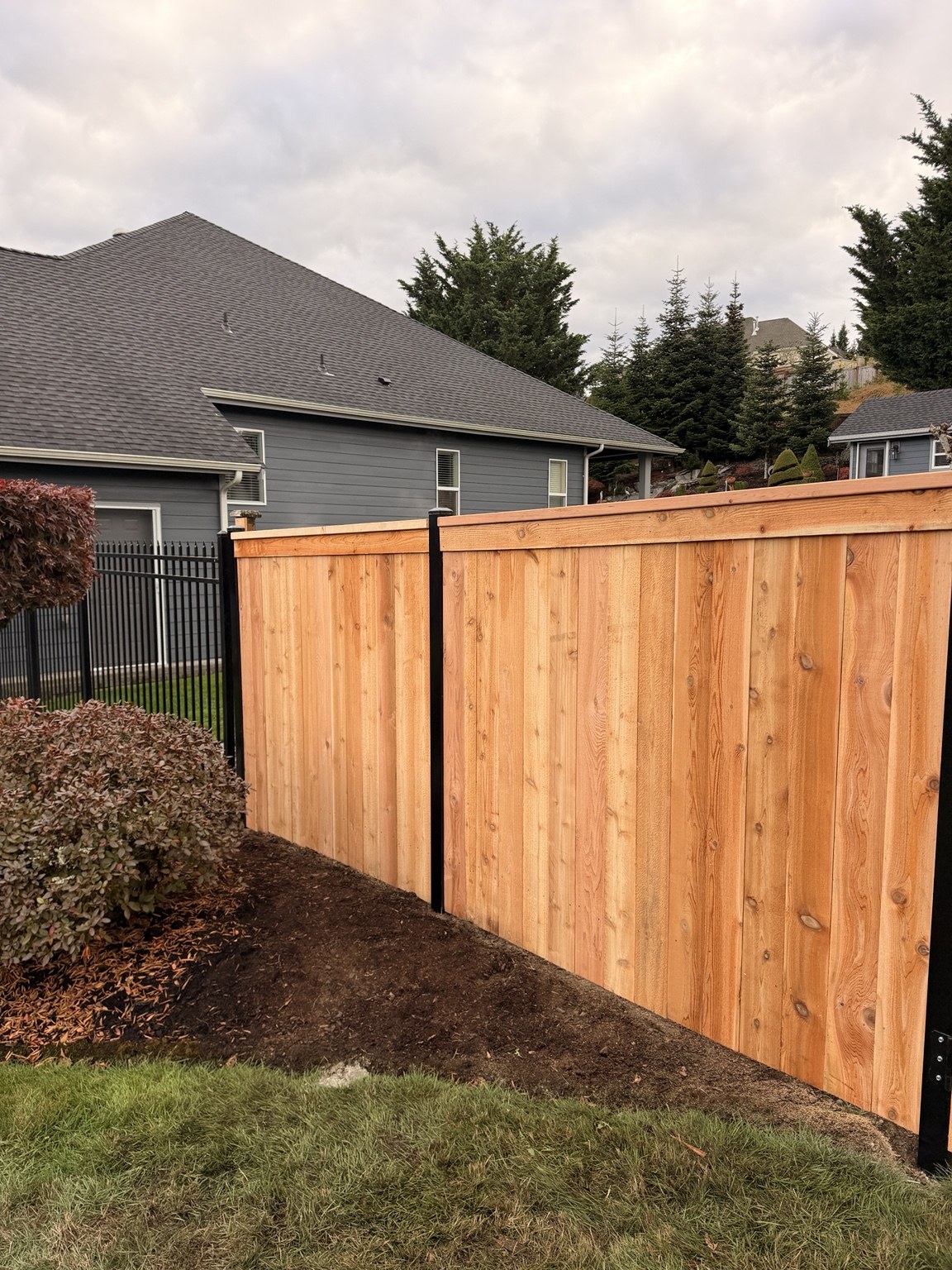 Cedar fencing beside a landscaped yard