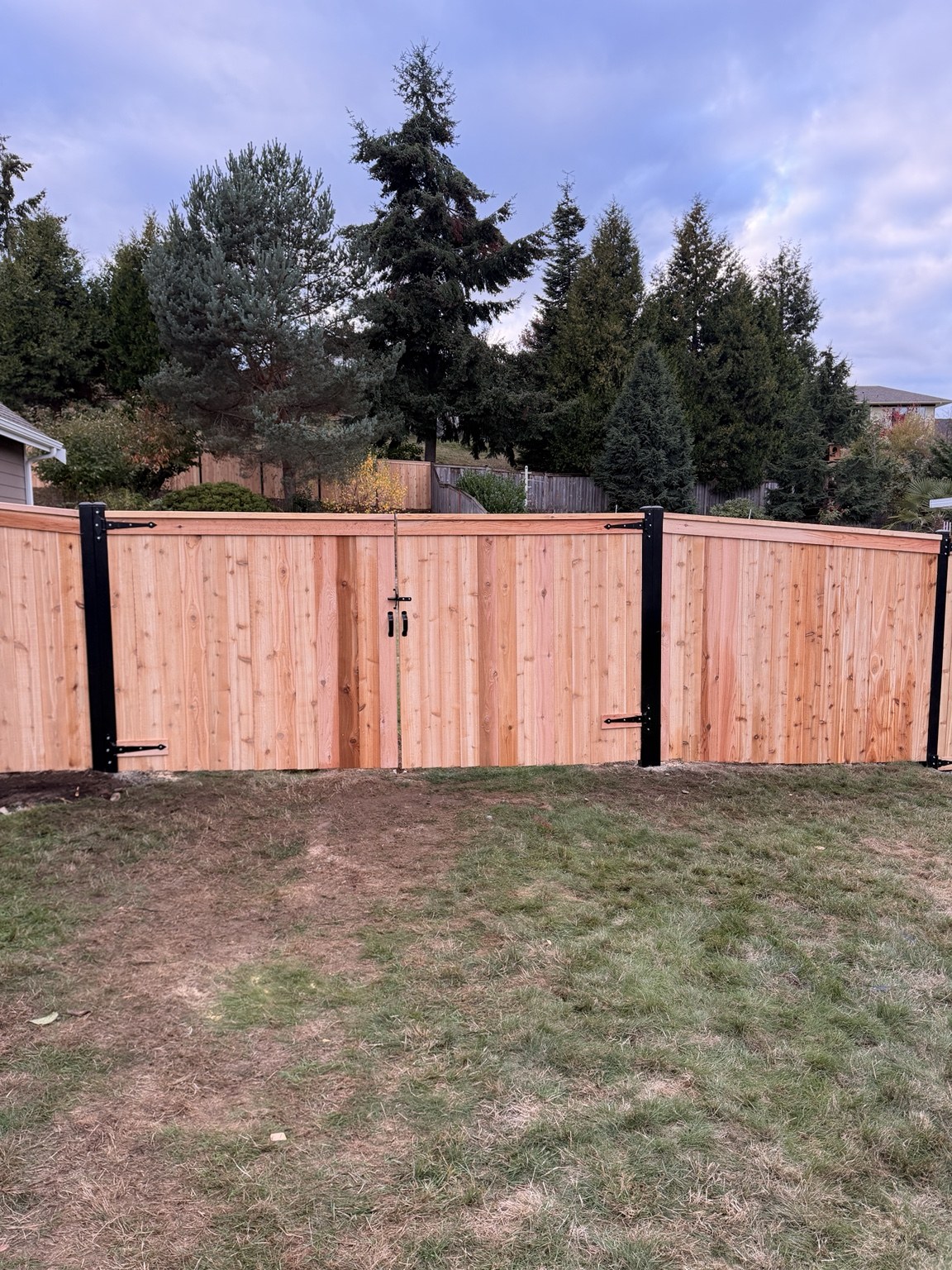 Cedar double gate with black metal posts